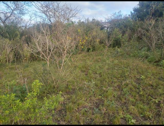 LAND FOR SALE IN NGWELEZANA